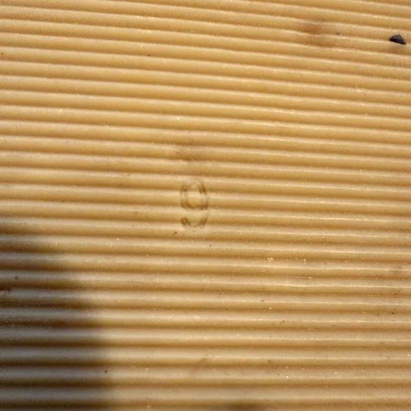 Loeffler Randall Sandals Womens Size 9 Beige Braided Leather Slide Flat Shoes - Picture 7 of 9